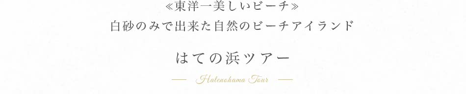 ≪東洋一美しいビーチ≫白砂のみで出来た自然のビーチアイランド、はての浜ツアー