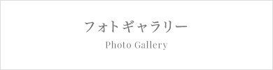 フォトギャラリー