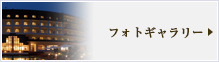 フォトギャラリー