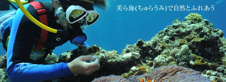 美ら海(ちゅらうみ)で自然とふれあう